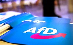 В Германии высший суд признал ультраправую партию AfD экстремистской. Разведчики позволили следить за ней