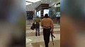  EN ИГИЛ подтвердило причастность к атаке на «Крокус», опубликовав видео, снятое террористами в концертном зале