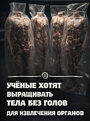 Любая дикая для нас сейчас идея - это реалии будущего. 