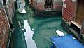 Отсутствие туристов сделало воду в каналах Венеции кристально чистой