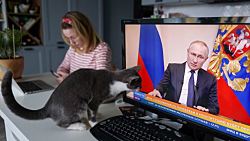 Госпропаганда скрыла от россиян заявление Трампа о «сошедшем с ума» Путине