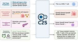 ИИ от Google совершил прорыв в лечении рака