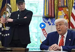 "Илон на самом деле не уходит". Трамп устроил проводы Маску в Овальном кабинете