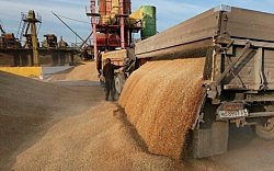 Разведка: близкое окружение Путина захватывает российский зерновой бизнес