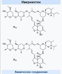 Высокий потенциал в лечении рака. 