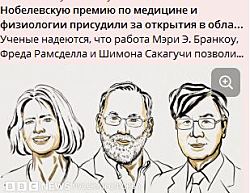 Нобелевский лауреат потерялся