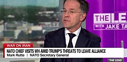 Генсек НАТО заявил, что понимает «явное разочарование» Дональда Трампа в союзниках из-за Ирана