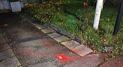 В Швеции неизвестный дрон атаковал виллу российской делегации, облив ее краской и липким веществом