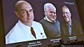 Лауреатами Нобелевской премии по медицине стали трое вирусологов из США и Великобритании