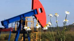 Рентабельных доказанных запасов нефти в России осталось на 25 лет базовой добычи