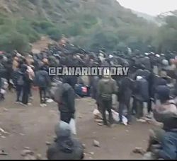 ПЕЧАЛЬНАЯ СУДЬБА ЭЛИТАРНЫХ КАНАРСКИХ ОСТРОВОВ.