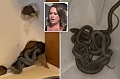 Женщина купила дом, кишащий змеями