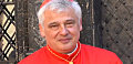 Посланник папы римского попал под обстрел россиян во время гуманитарной миссии