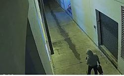 ФБР арестовало подозреваемого в установке самодельных бомб 6 января