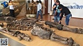 Священник из Эквадора хранил у себя скелет 7-метрового великана. 