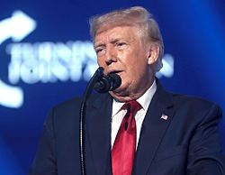 Трамп дал Путину еще две недели на переговоры с Украиной