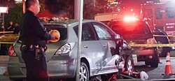 Автомобиль врезался в толпу в Лос-Анджелесе: 30 пострадавших, водитель застрелен