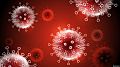 В США ученые обнаружили белок, который нейтрализует коронавирус 