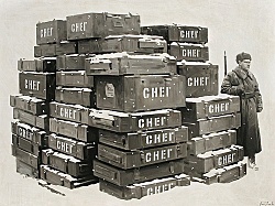 Путин спустил в унитаз не только прошлое и настоящее России, но и ее будущее.