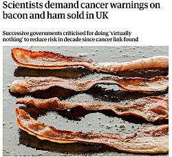 ежедневное потребление всего 50 граммов переработанного мяса увеличивает риск рака кишечника примерно на 18%»