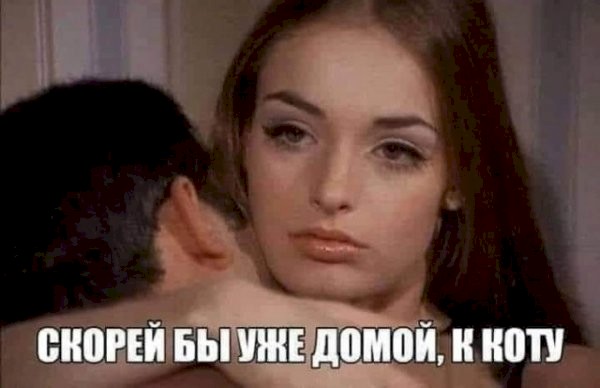 Забавные строки, подаренные читателями 25.11.2021