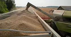 Россияне вывезли 34 тыс. тонн украинского зерна в пять стран по квотам, не платя пошлину, - расследование