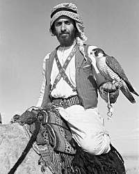 Шейх Заид бен Султан Аль-Нахайян (1918 - 2004 - основатель и первый президент  Объединенных Арабских Эмиратов. 