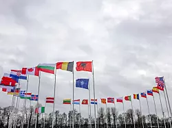 Перед саммитом НАТО представители 60 мировых университетов подписали письмо с призывом не приглашать Украину в Альянс.