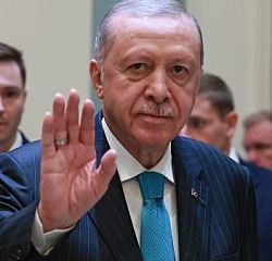 Эрдоган заявил, что Путин и Зеленский пока не готовы к встрече