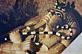 Тутанхамон придет за тобой: как появилась легенда о «проклятии фараонов» и кто ее развенчал