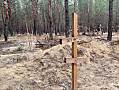 В лесу возле Изюма найдено место массовых захоронений с 440 могилами