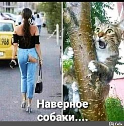 Мужчинам на заметку: если на вашу, вроде бы обыкновенную женщину, денег уходит как на красивую, значит она умная