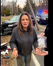 В американском штате Род-Айленд арестована 41-летняя Шеннон Гудбаут (Shannon Godbout), подозреваемая в убийстве 70-летнего пенсионера насмерть на глазах у его собаки.