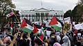  Вы всё ещё за демократов?  Белый дом рассматривает возможность принятия палестинцев из сектора Газа в качестве беженцев