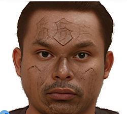 Иммиграционная и таможенная полиция арестовала самого разыскиваемого члена сальвадорской банды