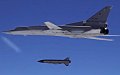 Беспилотник уничтожил два ракетоносца Ту-22М3 на российском аэродроме "Шайковка"