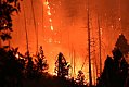 В Калифорнии из-за лесного пожара эвакуировали 30 тысяч человек
