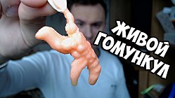 Гомункул на марше