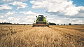 Канада соберет лучший урожай пшеницы за девять лет 