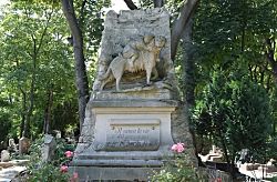  «Собака – друг человека»».