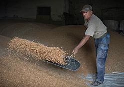 ЕС заключил с Украиной новое соглашение по сельскому хозяйству