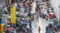  Бостонский аэропорт приютил более 100 нелегальных мигрантов: «Они прибывают в любое время».