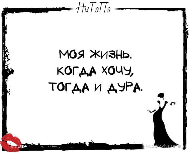 Открытка моя жизнь когда хочу тогда и дура, медвежата чарушин картинки