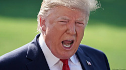 Трамп пригрозил Маску проверкой субсидий для Tesla