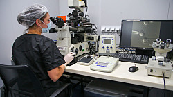 Россия потеряла каждого четвертого ученого в области медицины